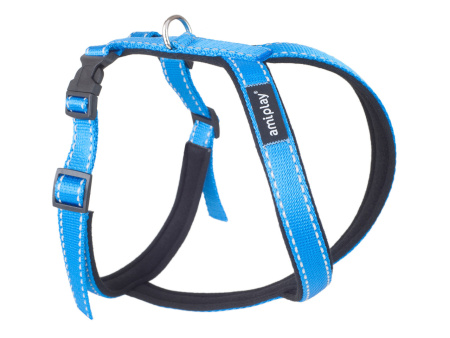 фото Шлейки регулируемые Ami Play Grand Soft Reflective M max 34 [c] x 49-59 [d] cm Голубой