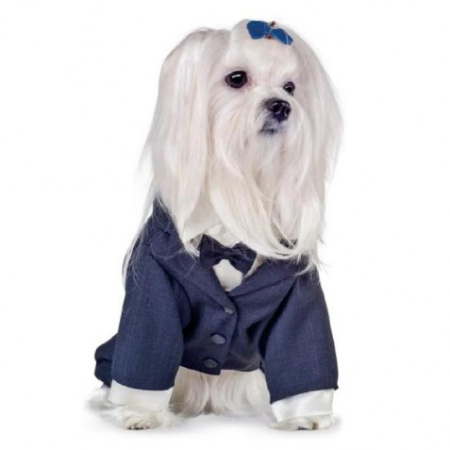 фото Костюм-тройка для собак "Джованни" Pet Fashion