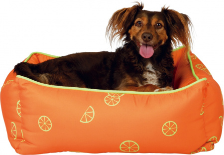 фото Яркий лежак для собак Fresh Fruits оранжевый