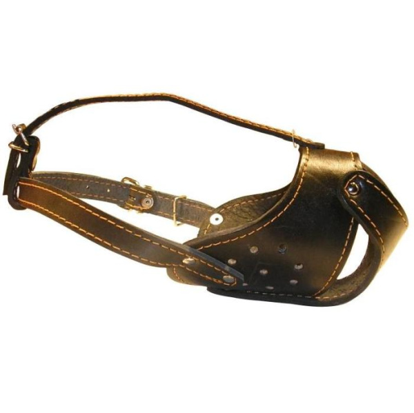 купить Намордник бультерьер для собак Collar