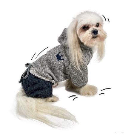 фото Костюм Pet Fashion Гранд