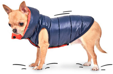 фото Жилет для собак Pet Fashion "Маркиз"