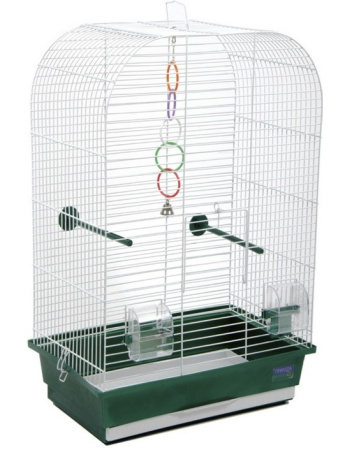 фото Клетка для птиц Природа Аурика