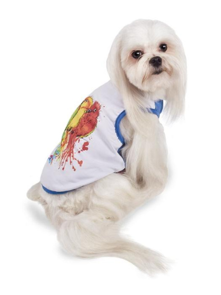 купить Борцовка для собак Pet Fashion Цитрус
