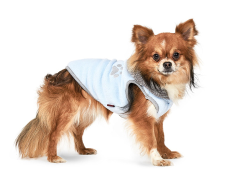 фото Жилет для собак Pet Fashion Чип