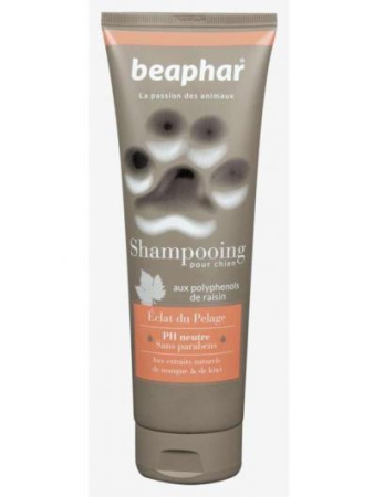 фото Шампунь Beaphar для блестящей шерсти собак