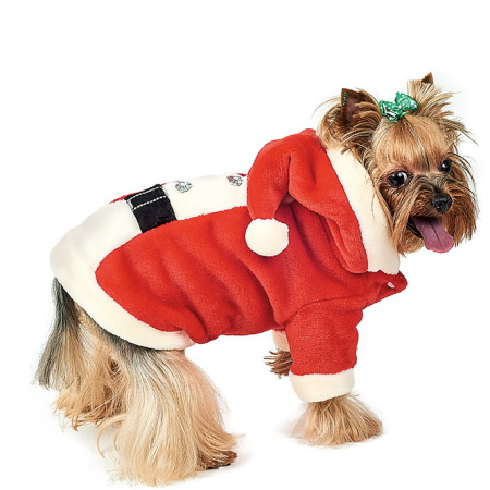 фото Костюм Pet Fashion «Карнавал» для собак