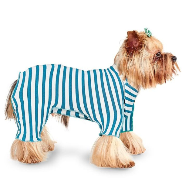 купить Халат для йорка Pet Fashion
