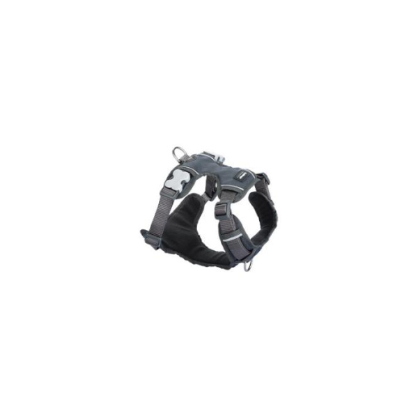 купить Шлея для собак RedDingo Padded Harness L - 2,5*56-80 Серый