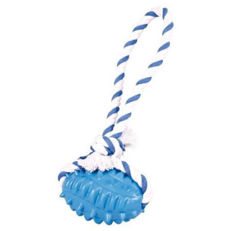 фото Шипованный мяч-регби на канате