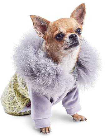 фото Толстовка с меховым воротником Pet Fashion "Тиффани" для собак