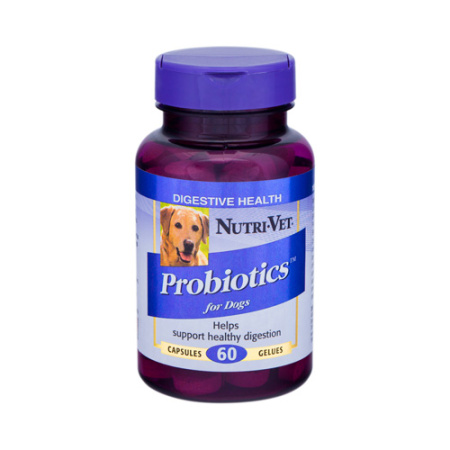 фото Нутри-Вет «ПРОБИОТИК» для нормализации пищеварения