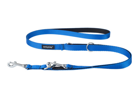 фото Поводок-перестежка 6 в 1 Ami Play Twist S 100-200/1 см Голубой