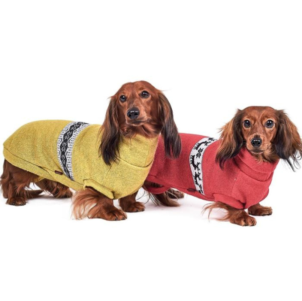 купить Свитер для таксы Pet Fashion Крис