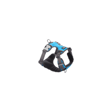 фото Шлея для собак RedDingo Padded Harness S - 1.5*37-52 см Бирюзовый
