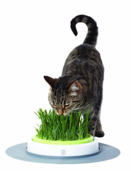 купить Игрушка для кота лужайка для травы Grass Garden Haden