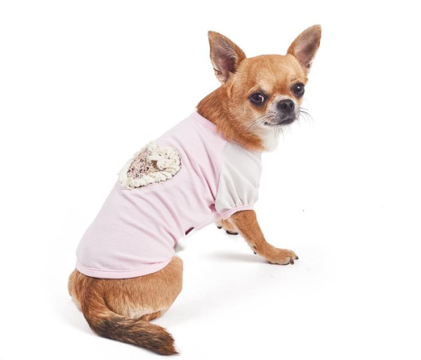 Футболка Pet Fashion Элен