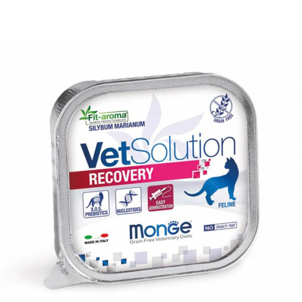 купить Лечебный корм для кошек Monge Vetsolution Recovery Feline 100 гр