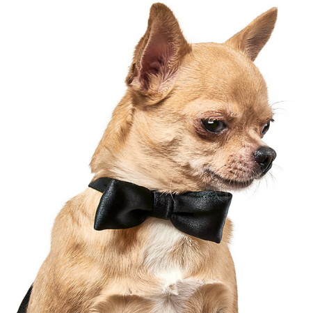 фото Аксессуар для собак Бабочка Pet Fashion