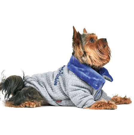 фото Толстовка для собак Pet Fashion Фред фото Толстовка для собак Pet Fashion Фред