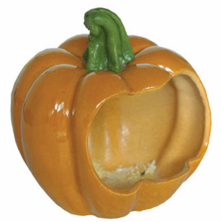 фото Кормушка-тыква для грызунов