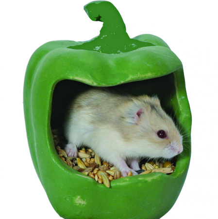 фото Кормушка-перец для грызунов