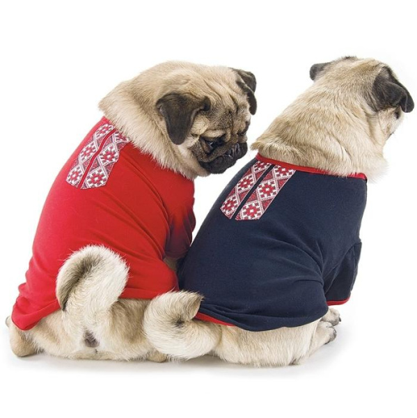 купить Футболка для собак Украинка Pet Fashion