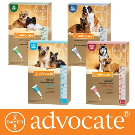 фото Капли Advocate для собак от блох и клещей Bayer