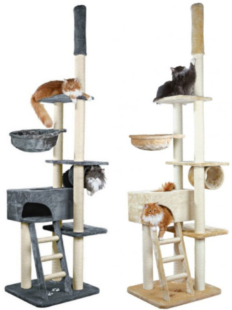 фото Дряпка Zaragoza Trixie