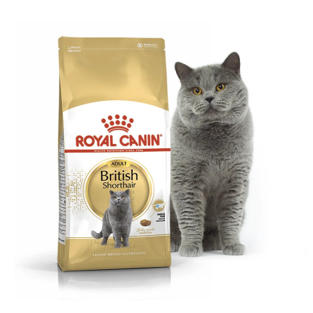 фото Сухой корм Royal Canin Adult British Shorthair для взрослых кошек породы Британская короткошерстная 2 кг