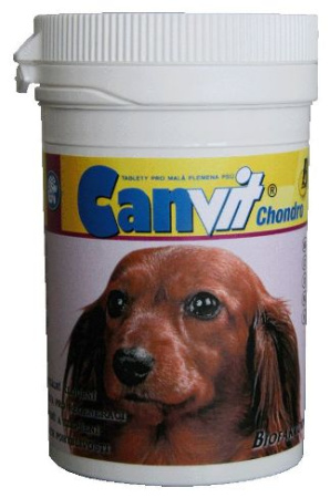 фото Канвит Хондро